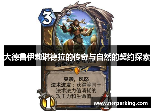 大德鲁伊莉琳德拉的传奇与自然的契约探索