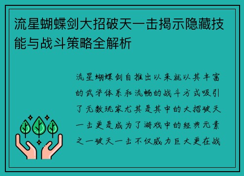 流星蝴蝶剑大招破天一击揭示隐藏技能与战斗策略全解析